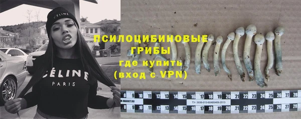дживик Алексин
