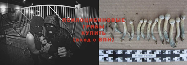 дживик Алексин