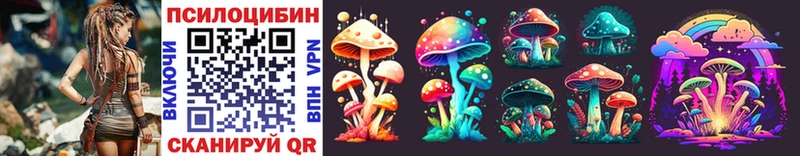 Псилоцибиновые грибы Psilocybe  купить закладку  Артёмовск 